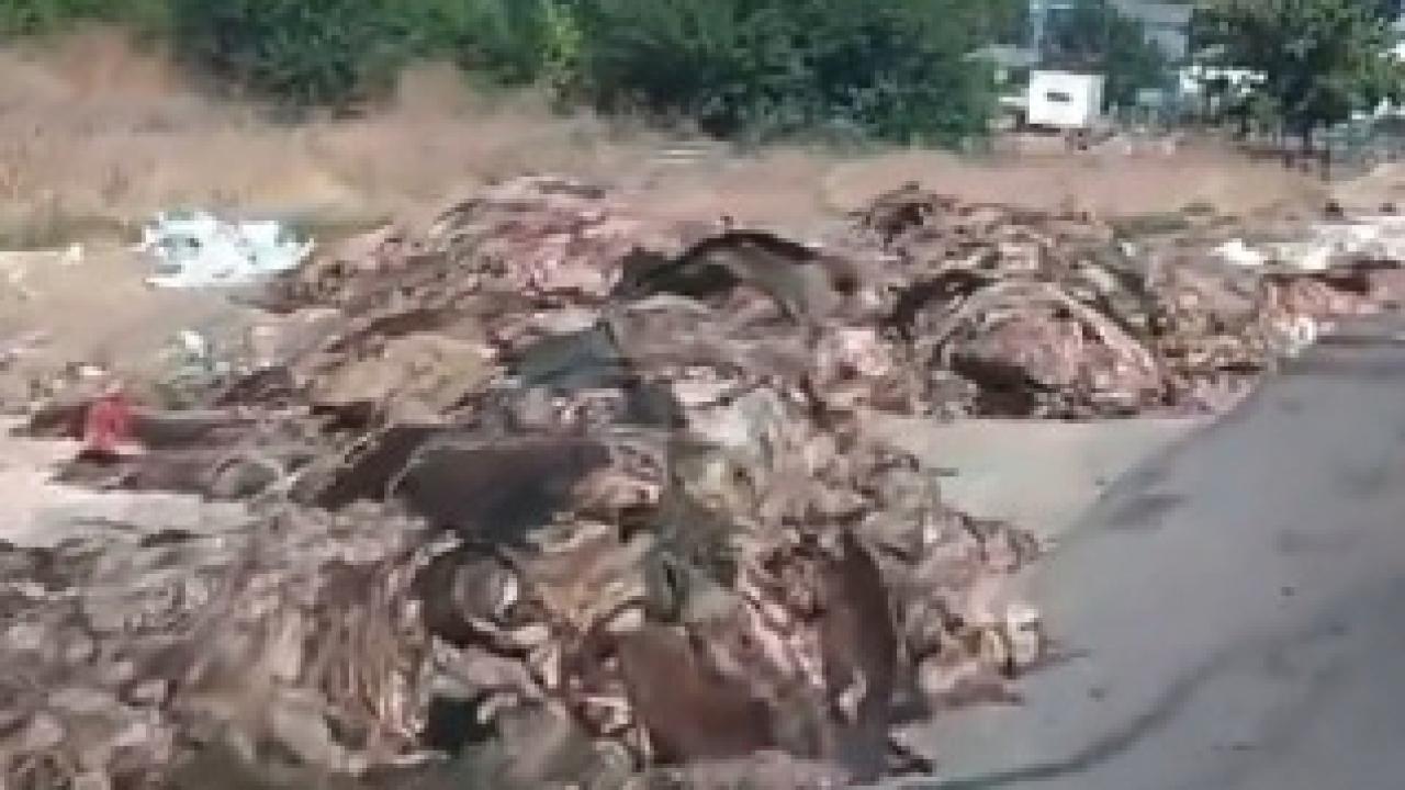 CHP'li isim CHP'li Şehitkamil belediye Başkanı'nı göreve çağırdı.