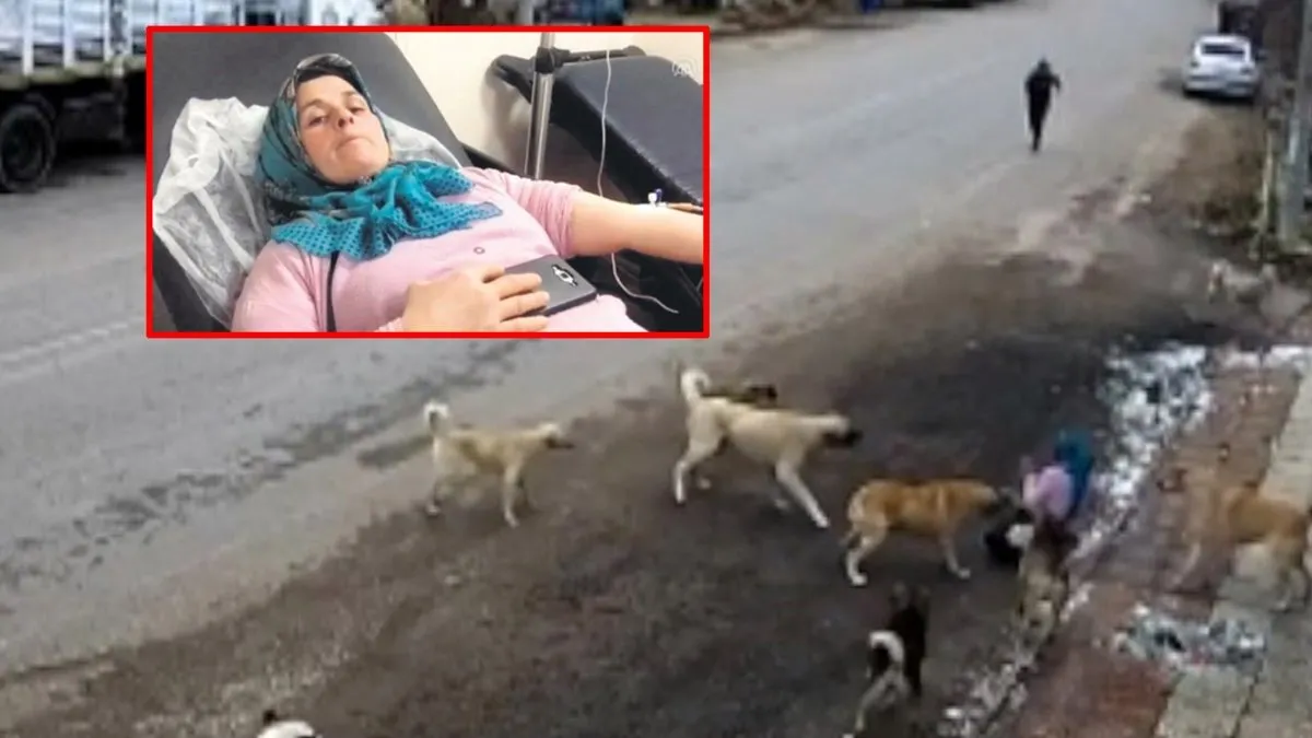 Güncel